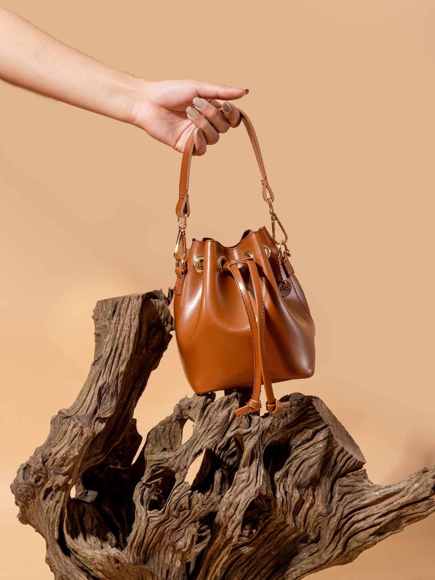 Frances Mini Bucket Bag and Sling Bag